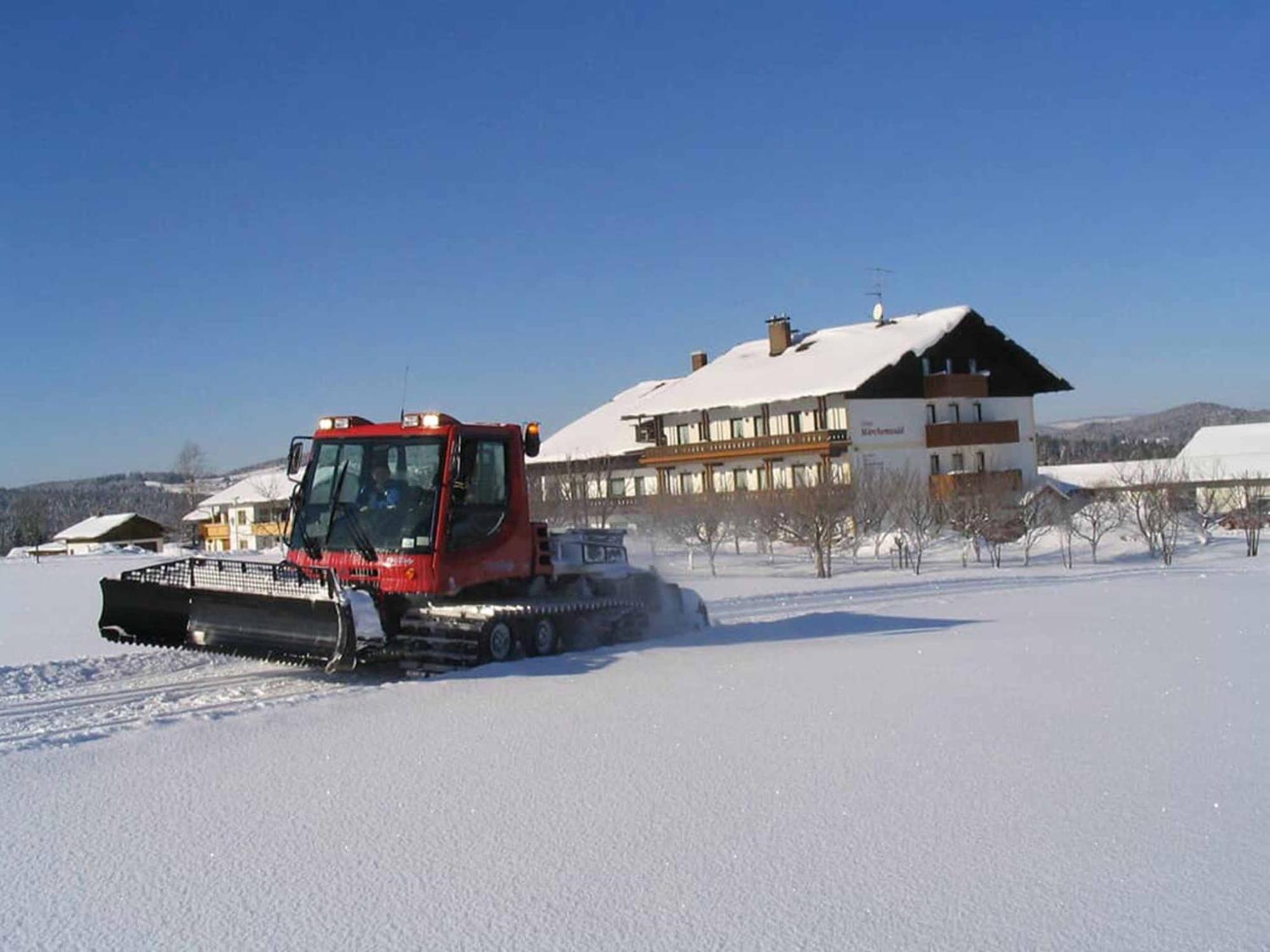 Hotel Maerchenwald Haidmühle Extérieur photo