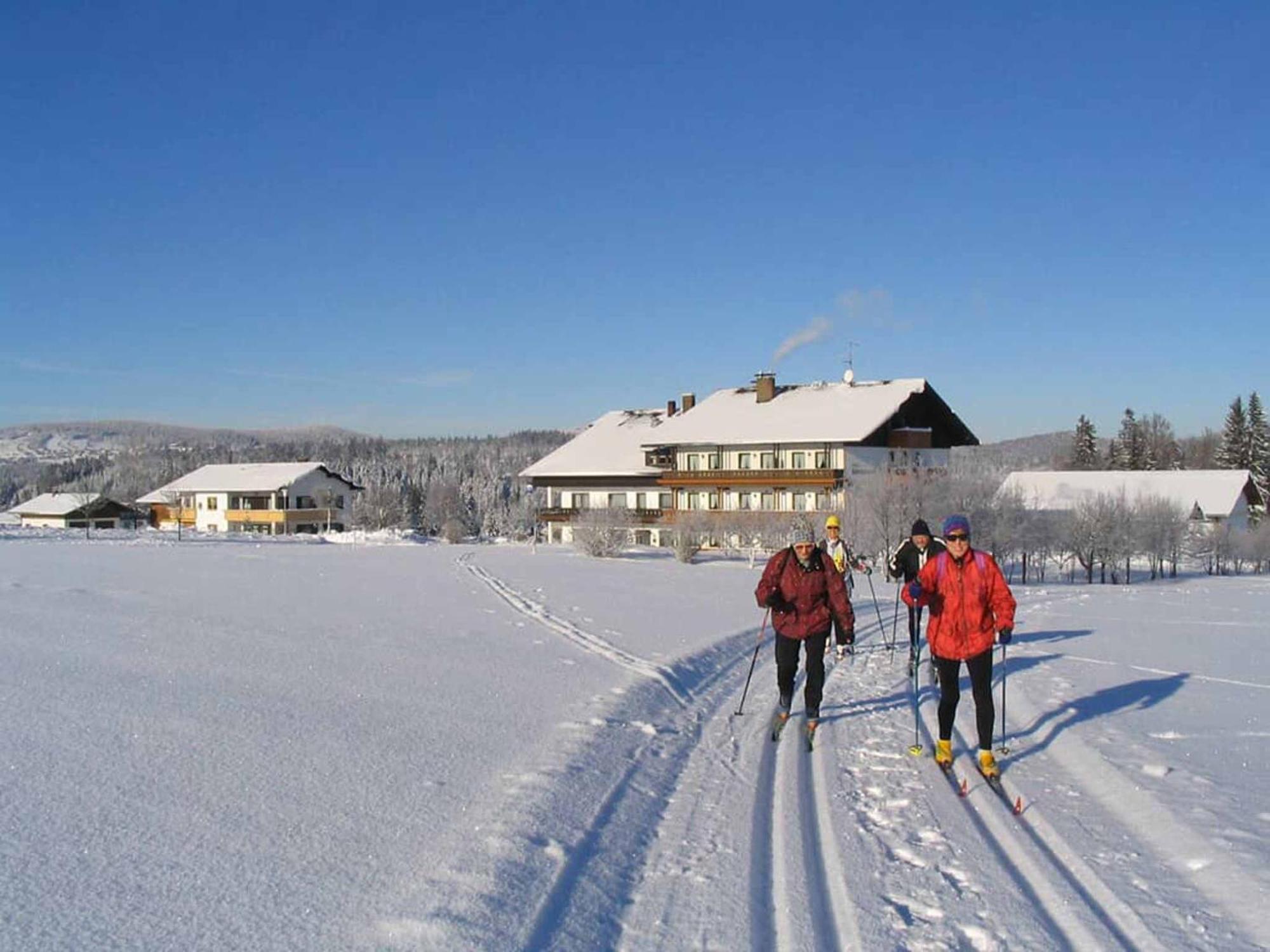 Hotel Maerchenwald Haidmühle Extérieur photo